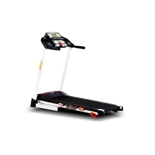 ROYAL FITNESS CANADA TREADMILL T510-C