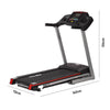 Treadmill 2403